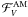 \hbox{${\mathcal F}_{V}^{\rm AM}$}