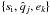 \hbox{$\{s_{\rm i},\hat{q}_j,e_k\}$}