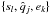 \hbox{$\{s_{l},\hat{q}_j,e_k\}$}