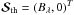 \hbox{$\bm{\mathcal S}_{\rm th}=(B_{\lambda},0)^T$}