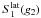 \hbox{$S_{\rm 1}^{\rm lat} (g_2)$}
