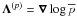 \hbox{$\mathbf{\boldsymbol{\Lambda}}^{(p)}=\boldsymbol{\nabla}\log\overline{p}\,$}