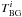 \hbox{$T^i_{\rm BG}$}