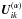 \hbox{$\vec{U}^{(\alpha)}_{ik}$}