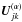 \hbox{$\vec{U}_{jk}^{(\alpha)}$}