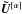 \hbox{$\vec{\tilde{U}}^{[\alpha]}$}