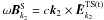 \hbox{$\omega {\rm {\vec B}}_{k_2}^{\rm S} = c{\vec k}_2 \times {\rm \tilde {\vec E}}_{k_2 }^{\rm TS(t)} $}