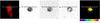 Thumbnail: Fig. 2 Refer to the following caption and surrounding text.