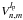 \hbox{$V_{n,m}^{l_{\rm p}}$}