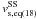 \hbox{$v_{\mathrm{s,eq(18)}}^{\mathrm{SS}}$}