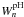 \hbox{$W_{n}^{\rm{pH}}$}