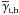 \hbox{$\overline{\gamma}_{\rm t,h}$}