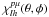 \hbox{$\chi _{lh}^{p \mu}(\theta,\phi)$}