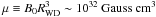 \hbox{$\mu \equiv B_{0}R_{\mathrm {WD}}^3\sim10^{32}~\mathrm{Gauss\ cm^3}$}