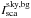\hbox{$I_{\rm sca}^{\rm sky,bg}$}