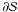 \hbox{$\partial {\cal S}$}