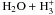 \hbox{$\mathrm{H_2O+H_3^+}$}
