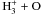 \hbox{$\mathrm{H_3^++O}$}