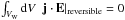 \hbox{$\int_{V_{\rm W}} {\rm d}V \;\; \vec{j}\cdot\vec{E}|_{\rm reversible}=0$}