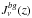 \hbox{$J^{bg}_\nu(z)$}