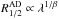 \hbox{$R^{\rm AD}_{1/2} \propto \lambda^{1/\beta}$}