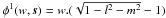 \hbox{$\phi^{1}(w,\vec{s})=w.(\sqrt{1-l^2-m^2}-1)$}