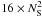 \hbox{$16\times N^2_{\rm S}$}