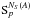 \hbox{$\mathrm{S}_p^{N_S(A)}$}
