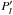 \hbox{$P'_l$}