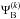 \hbox{$\Psi^{(k)}_{\rm B}$}