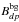 \hbox{$B^{\rm bg}_{dp}$}