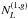 \hbox{$N^{(1,g)}_{L}$}