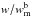\hbox{$w/w_{\rm m}^{\rm b}$}