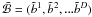 \hbox{$\tilde{\mathcal{B}} = (\tilde{b}^1, \tilde{b}^2, ... \tilde{b}^D)$}