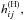 \hbox{$h_{ij}^{\rm (H)},$}