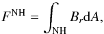 \begin{equation} F^{\mathrm{NH}}= \int_{\mathrm{NH}} B_r {\rm d}A, \end{equation}