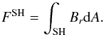 \begin{equation} F^{\mathrm{SH}}= \int_{\mathrm{SH}} B_r {\rm d}A. \end{equation}