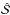 \hbox{$\mathcal{\hat S}$}