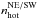 \hbox{$n_{\mathrm{hot}}^{\mathrm{NE/SW}}$}