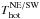 \hbox{$T_{\mathrm{hot}}^{\mathrm{NE/SW}}$}