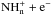 \hbox{$\rm {NH_n^+ + e^-}$}