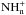 \hbox{$\rm {NH_n^+}$}