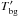 \hbox{$T^\prime_{\rm bg}$}