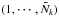 \hbox{$(1,\cdots,\tilde{N}_{k})$}