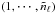 \hbox{$(1,\cdots,\tilde{n}_{\ell})$}