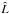 \hbox{$\hat\Lh$}