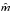 \hbox{${\hat m}$}