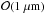 \hbox{$\mathcal{O}(1~ \mu \text{m})$}