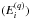 \hbox{$(E_i^{(q)})$}