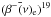 \hbox{$(\beta^-\bar(\nu)_{\rm e})^{19}$}